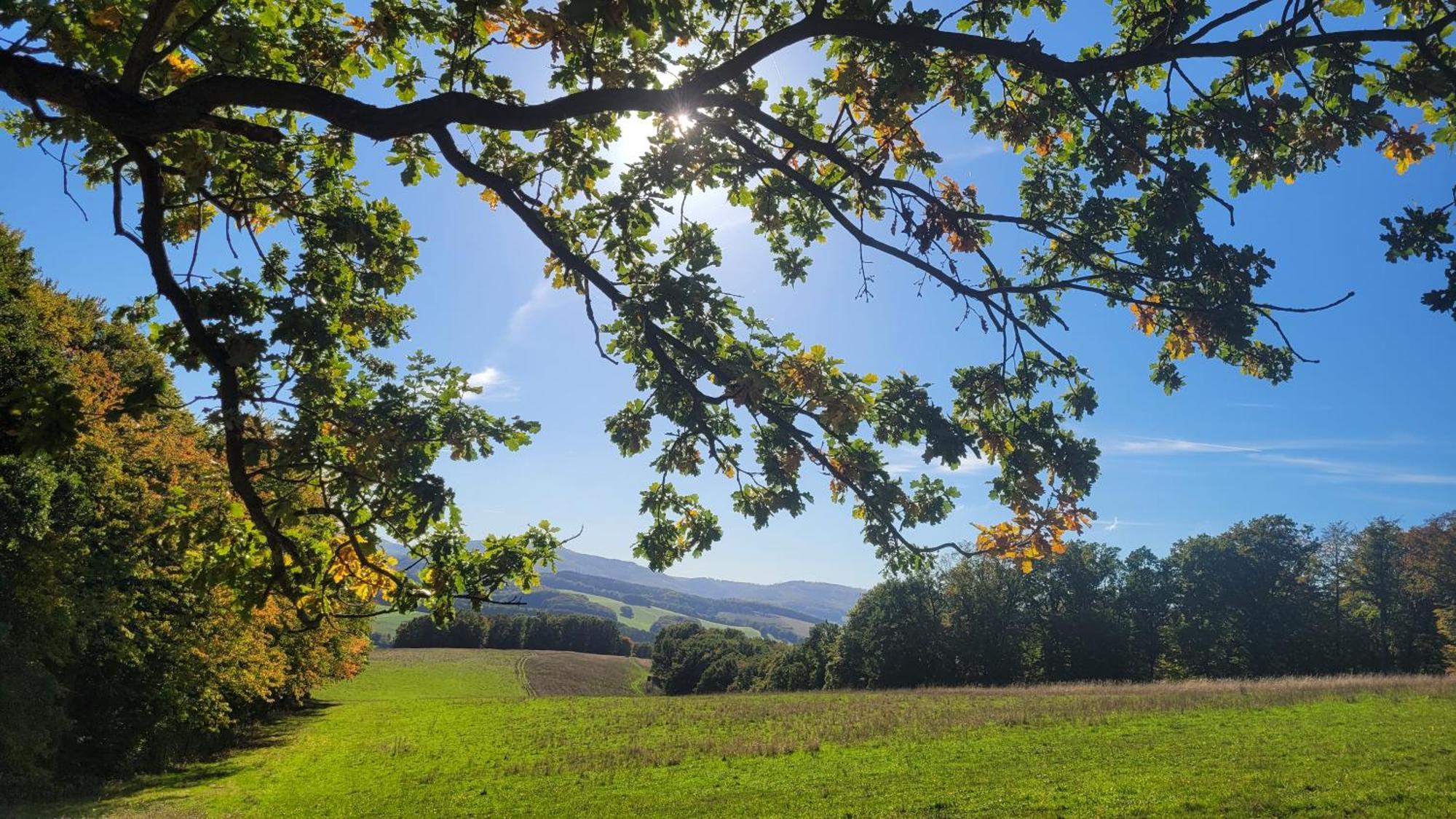 Im Alten Rathaus Bad Liebenstein Kültér fotó